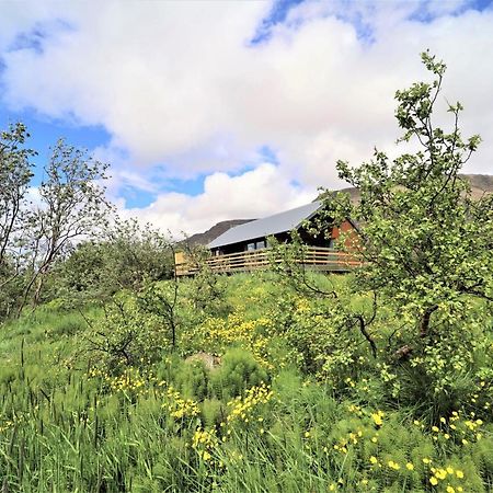 Villa Dixon Cabin Nr. 4 / Dixon Sumarhus Nr. 4 Talknafirthi à Talknafjordur Extérieur photo